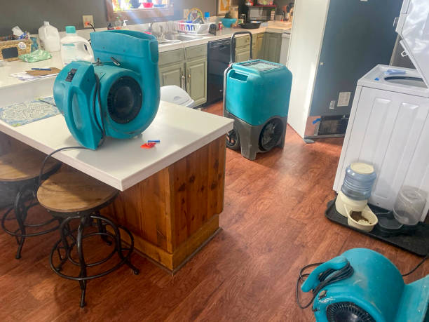 Best Flood damage cleanup  in Homestead Valley, CA