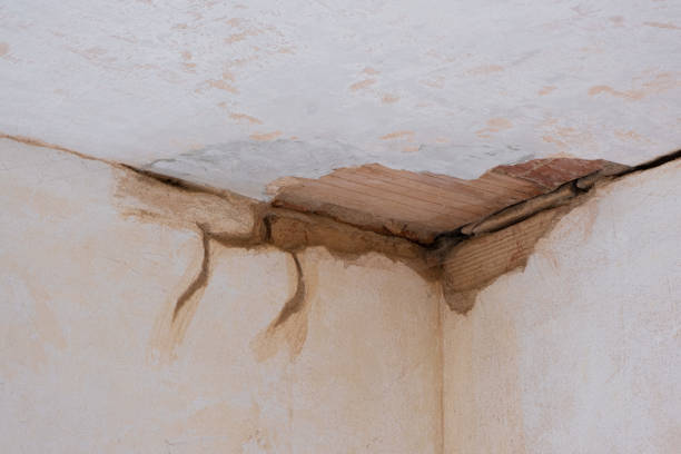 Best Water damage restoration near me  in Homestead Valley, CA
