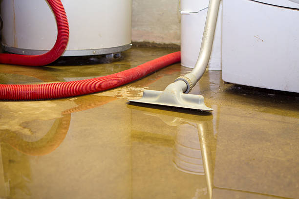 Best Water damage cleanup near me  in Homestead Valley, CA