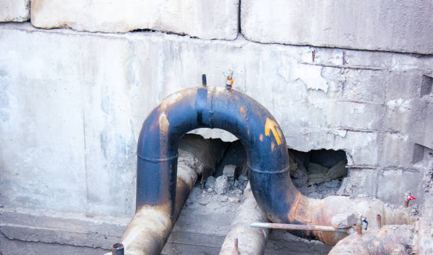 Best Basement water damage restoration  in Homestead Valley, CA