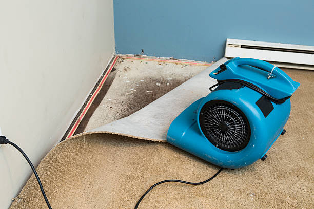 Reliable CA Water damage restoration Solutions