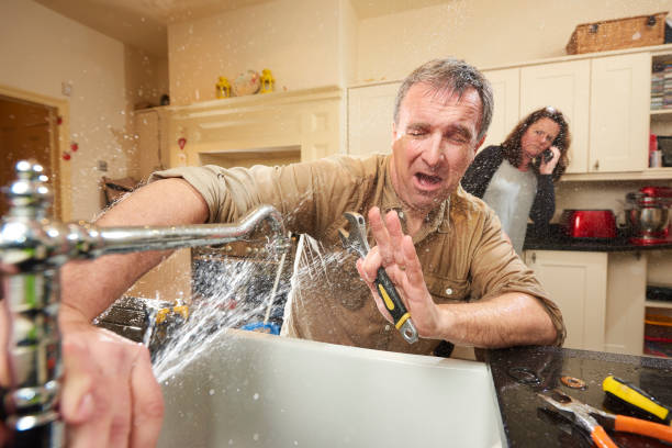 Best Flooded house restoration  in Homestead Valley, CA